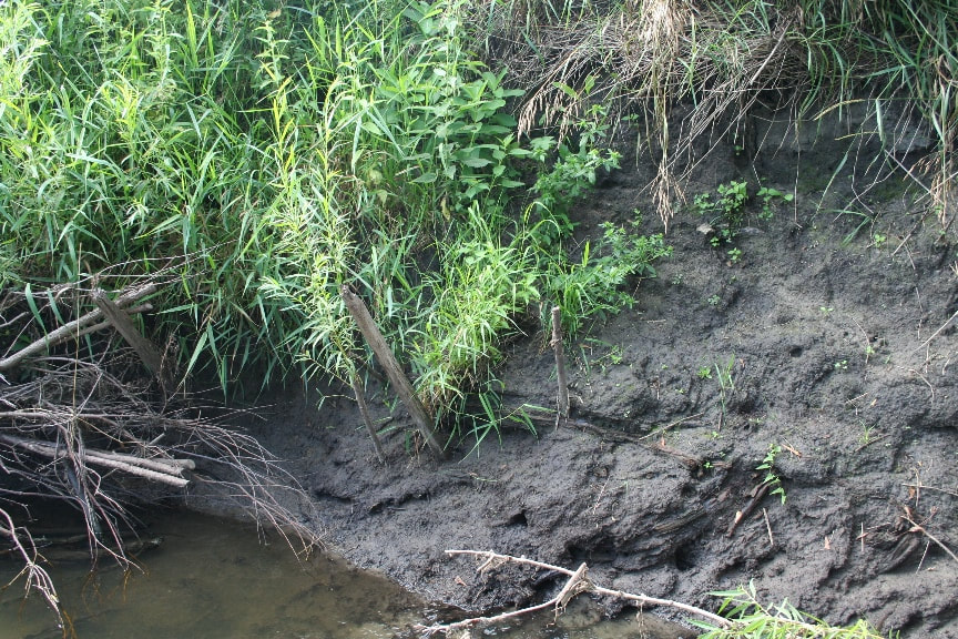 eroded river bank